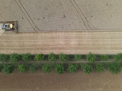 DJI_3630.JPG